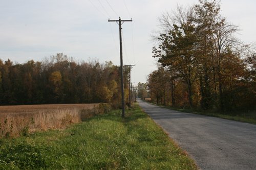 Property photo 13 - 99+/- Acres Offered in 3 Tracts