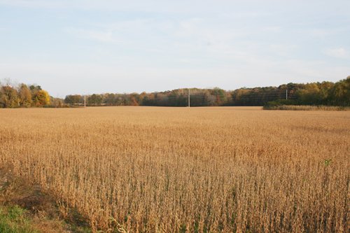 Property photo 23 - 99+/- Acres Offered in 3 Tracts