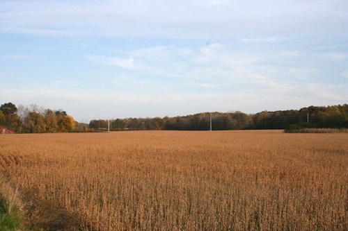 Property photo 21 - 99+/- Acres Offered in 3 Tracts