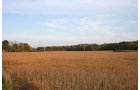 Property photo 21 - 99+/- Acres Offered in 3 Tracts