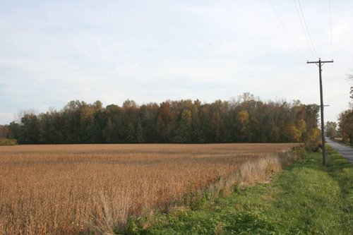 Property photo 24 - 99+/- Acres Offered in 3 Tracts