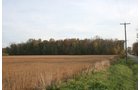 Property photo 24 - 99+/- Acres Offered in 3 Tracts