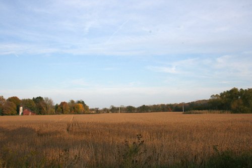 Property photo 14 - 99+/- Acres Offered in 3 Tracts