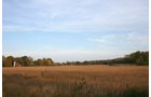 Property photo 14 - 99+/- Acres Offered in 3 Tracts