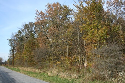 Property photo 22 - 99+/- Acres Offered in 3 Tracts