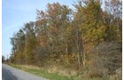 Property photo 22 - 99+/- Acres Offered in 3 Tracts