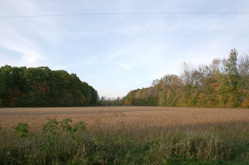 Property photo 18 - 99+/- Acres Offered in 3 Tracts