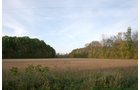 Property photo 18 - 99+/- Acres Offered in 3 Tracts