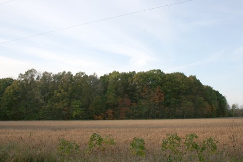 Property photo 10 - 99+/- Acres Offered in 3 Tracts