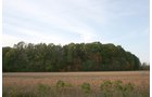 Property photo 10 - 99+/- Acres Offered in 3 Tracts