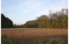 Property photo 11 - 99+/- Acres Offered in 3 Tracts