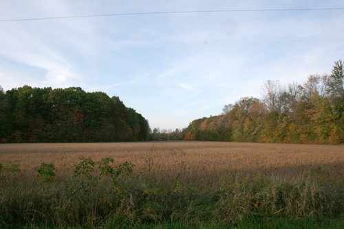 Property photo 7 - 99+/- Acres Offered in 3 Tracts