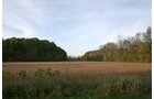 Property photo 7 - 99+/- Acres Offered in 3 Tracts