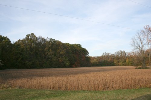 Property photo 3 - 99+/- Acres Offered in 3 Tracts