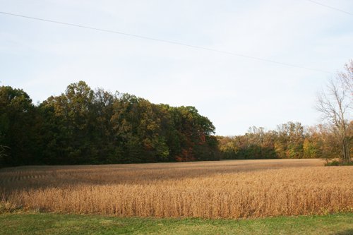 Property photo 16 - 99+/- Acres Offered in 3 Tracts