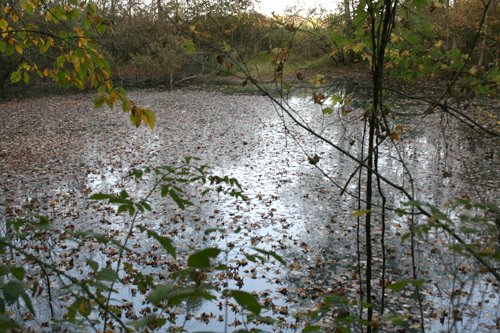 Property photo 2 - 99+/- Acres Offered in 3 Tracts