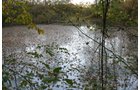 Property photo 2 - 99+/- Acres Offered in 3 Tracts