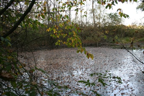 Property photo 17 - 99+/- Acres Offered in 3 Tracts