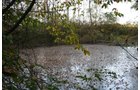 Property photo 17 - 99+/- Acres Offered in 3 Tracts