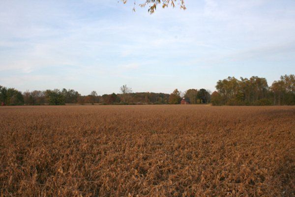 99+/- Acres Offered in 3 Tracts