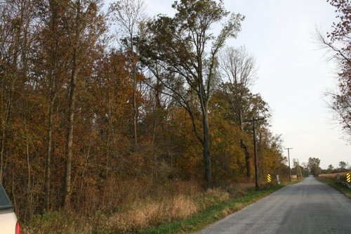 Property photo 4 - 99+/- Acres Offered in 3 Tracts