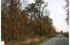 Property photo 4 - 99+/- Acres Offered in 3 Tracts