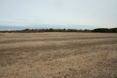 Property photo 6 - 323+/- Acres Offered in 7 Tracts with 282+/- FSA Tillable Acres