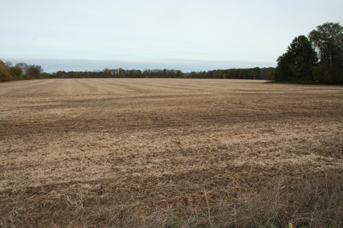 Property photo 4 - 323+/- Acres Offered in 7 Tracts with 282+/- FSA Tillable Acres