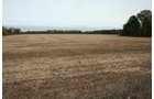 Property photo 4 - 323+/- Acres Offered in 7 Tracts with 282+/- FSA Tillable Acres