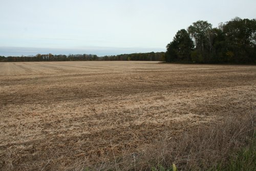 Property photo 3 - 323+/- Acres Offered in 7 Tracts with 282+/- FSA Tillable Acres