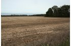 Property photo 3 - 323+/- Acres Offered in 7 Tracts with 282+/- FSA Tillable Acres