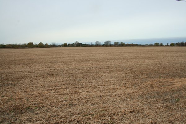323+/- Acres Offered in 7 Tracts with 282+/- FSA Tillable Acres