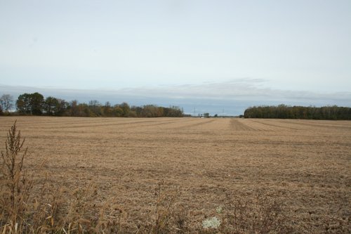 Property photo 5 - 323+/- Acres Offered in 7 Tracts with 282+/- FSA Tillable Acres