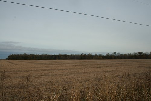 Property photo 2 - 323+/- Acres Offered in 7 Tracts with 282+/- FSA Tillable Acres