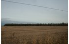 Property photo 2 - 323+/- Acres Offered in 7 Tracts with 282+/- FSA Tillable Acres