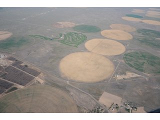Property photo 85 - 699+/- Acres Offered in 5 Tracts - 4-1/2 Irrigated Circles