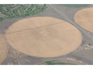 Property photo 45 - 699+/- Acres Offered in 5 Tracts - 4-1/2 Irrigated Circles
