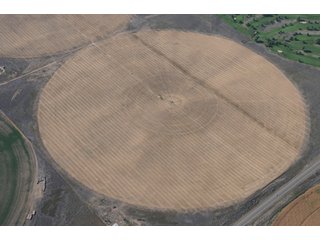 Property photo 71 - 699+/- Acres Offered in 5 Tracts - 4-1/2 Irrigated Circles
