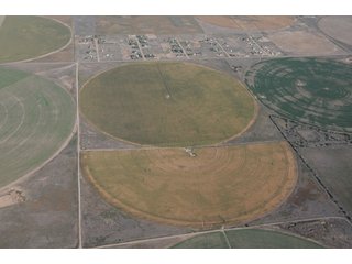 Property photo 80 - 699+/- Acres Offered in 5 Tracts - 4-1/2 Irrigated Circles