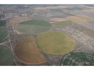 Property photo 53 - 699+/- Acres Offered in 5 Tracts - 4-1/2 Irrigated Circles