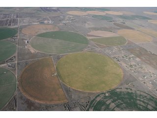 Property photo 64 - 699+/- Acres Offered in 5 Tracts - 4-1/2 Irrigated Circles