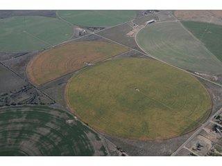 Property photo 26 - 699+/- Acres Offered in 5 Tracts - 4-1/2 Irrigated Circles