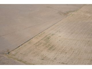 Property photo 70 - 699+/- Acres Offered in 5 Tracts - 4-1/2 Irrigated Circles
