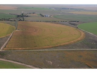 Property photo 12 - 699+/- Acres Offered in 5 Tracts - 4-1/2 Irrigated Circles