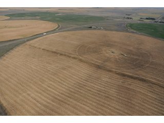 Property photo 21 - 699+/- Acres Offered in 5 Tracts - 4-1/2 Irrigated Circles