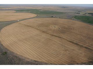 Property photo 59 - 699+/- Acres Offered in 5 Tracts - 4-1/2 Irrigated Circles