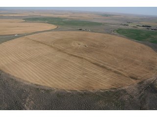 Property photo 60 - 699+/- Acres Offered in 5 Tracts - 4-1/2 Irrigated Circles