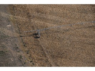 Property photo 95 - 699+/- Acres Offered in 5 Tracts - 4-1/2 Irrigated Circles