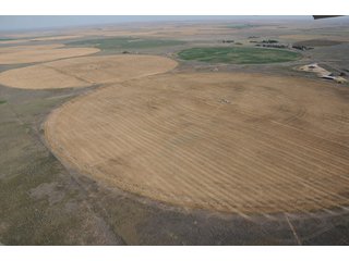 Property photo 83 - 699+/- Acres Offered in 5 Tracts - 4-1/2 Irrigated Circles