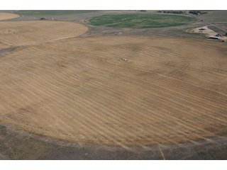 Property photo 6 - 699+/- Acres Offered in 5 Tracts - 4-1/2 Irrigated Circles